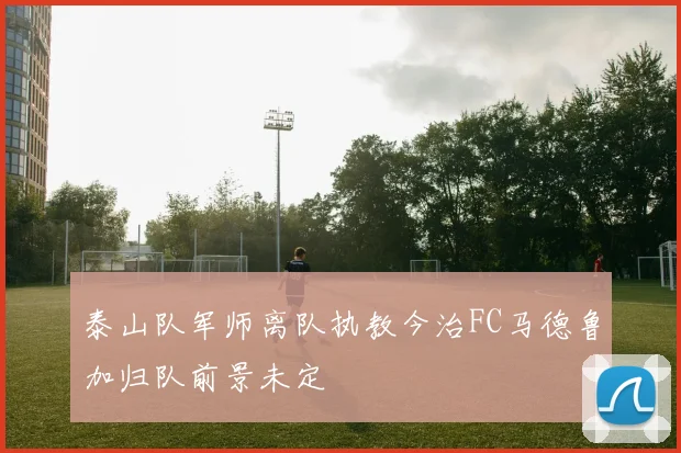 泰山队军师离队执教今治FC马德鲁加归队前景未定